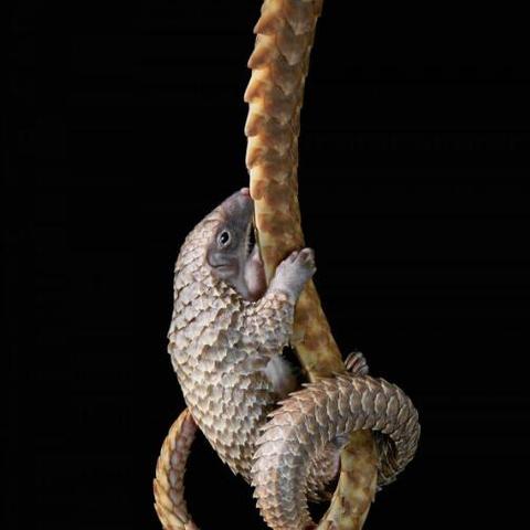 武汉非法金融的长尾关键词有哪些