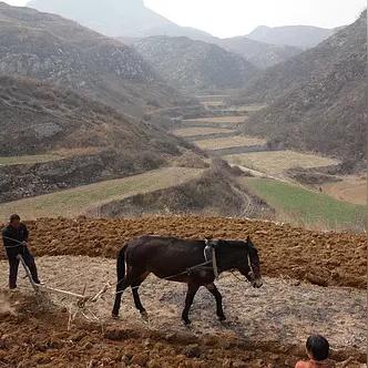 河南省属于哪个气候区域