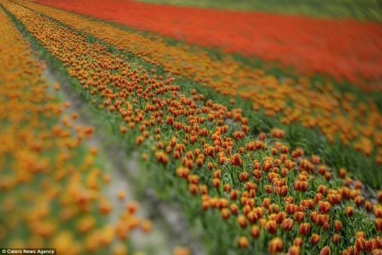 梦回往昔，分手后的余温与自我救赎