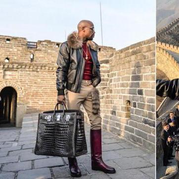 成都市区小狗领养中心在哪里