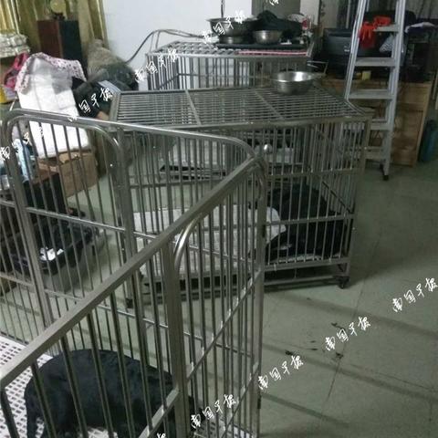 南宁宠物寄养中心的相关长尾关键词有哪些