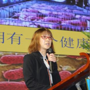 【武汉今日生猪价格】2025年7月6日武汉生猪价格是多少