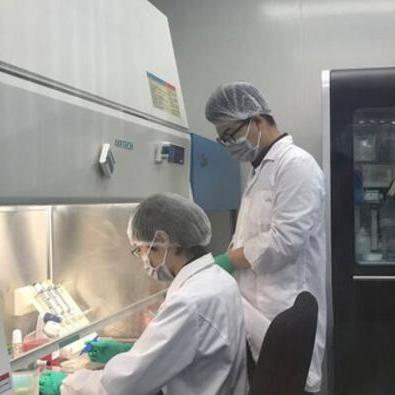 广州迈普再生医学相关长尾关键词有哪些