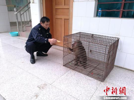 姓杨猴宝宝起名大全,七八十年代农村都有啥老物件儿