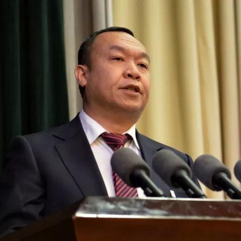 武汉市青山区区长什么级