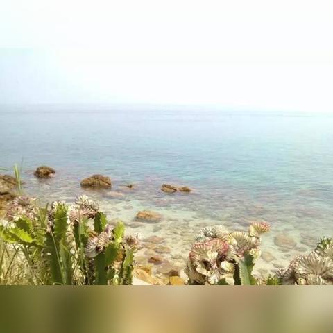 深圳市最高的山在什么地方