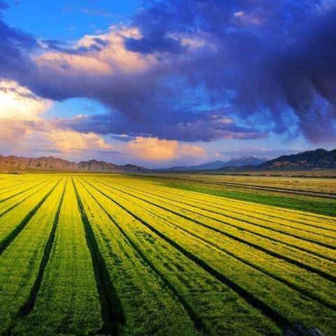 日照到福建飞机的相关长尾关键词有哪些