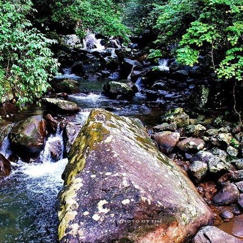 泉州市婺源的长尾关键词有哪些