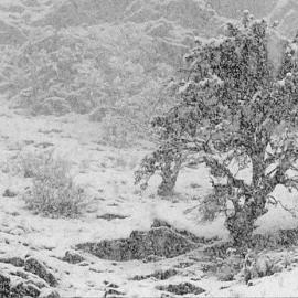 哈尔滨冬天暴雪相关长尾关键词有哪些