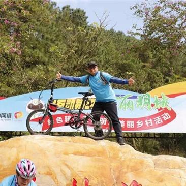 东莞市二手鸡笼出售信息的长尾关键词有哪些