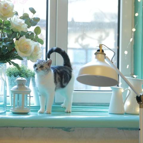 哈尔滨宜家包住吗相关长尾关键词有哪些