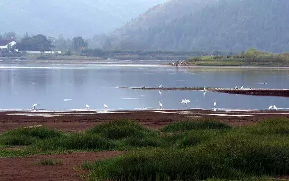 梦回校园，童年的战斗与成长的迷雾——解析昨晚的梦境之旅