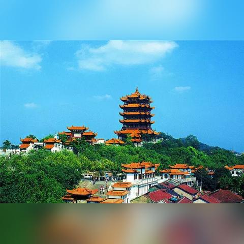 武汉市有个什么区