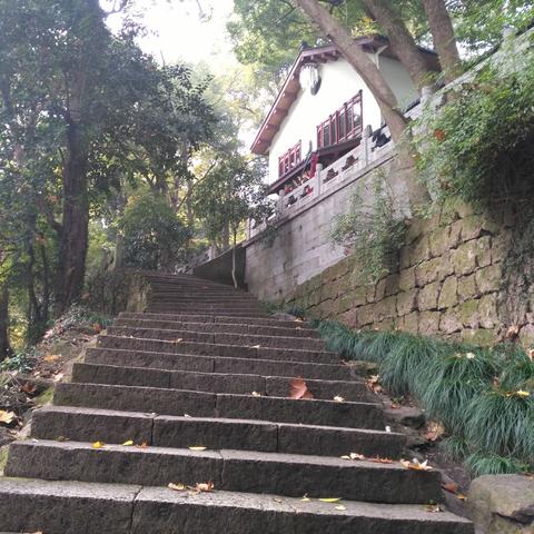 杭州保椒塔实验学校的相关长尾关键词有哪些