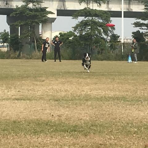 广州市狗狗馆电话号码多少