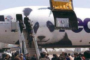 如何给宝宝起名好听的名字（请问给男孩起什么名字好听）