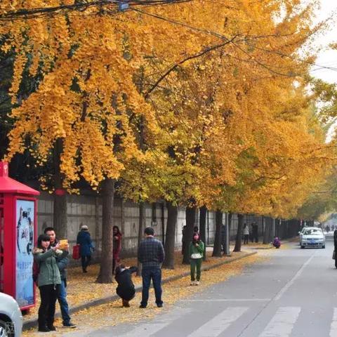 成都市井火锅金福地的长尾关键词有哪些