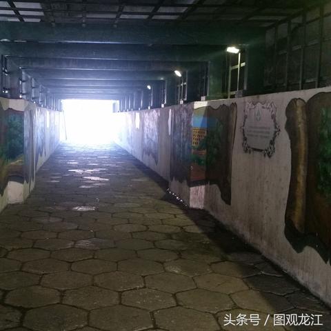 哈尔滨林业学院排名相关长尾关键词有哪些