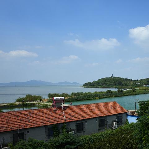 无锡市采枇杷在哪里采的