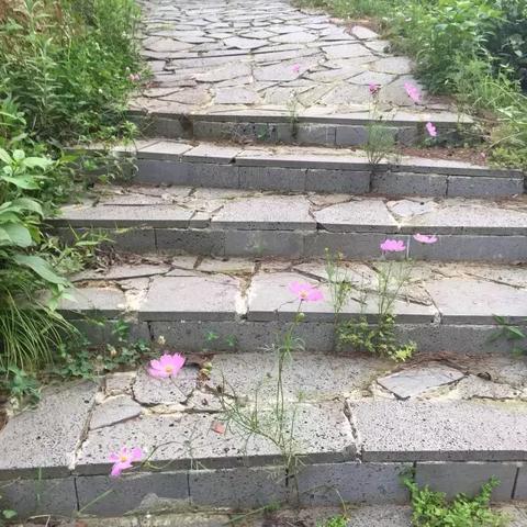 天空和茶作文大全的长尾关键词是什么