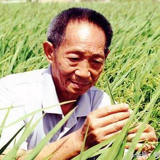 植物大战僵尸杂交（植物大战僵尸，探索杂交技术的奇妙世界）