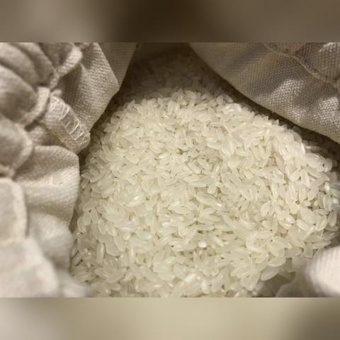 哈尔滨杂粮面条厂地址相关长尾关键词有哪些