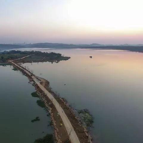 武汉市种植什么桃树最好