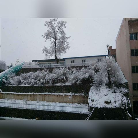 青海天气怎么样