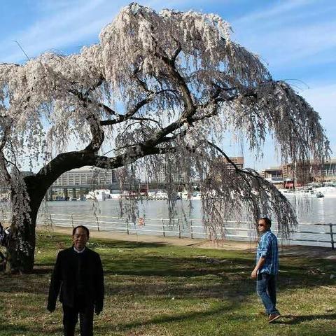 长沙种植牙哪家最便宜？