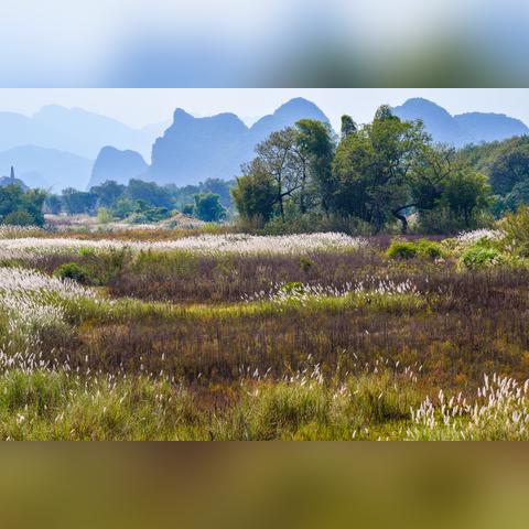 桂林羊绒皮制作方法大全相关长尾关键词有哪些