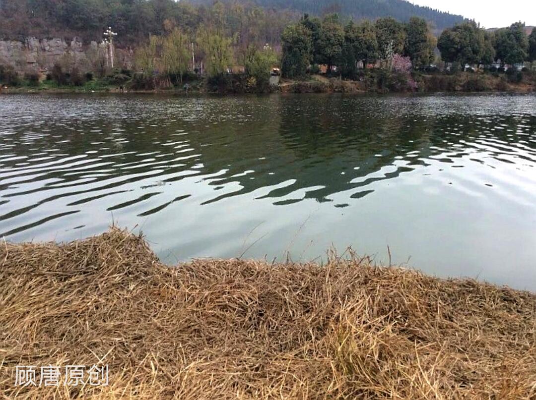 水中的温情记忆，梦回与过世姥爷及姥姥的同行