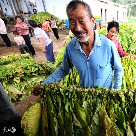 农产品电商找货源怎么找