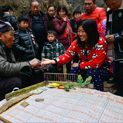 八字算命，谁家看得最靠谱？