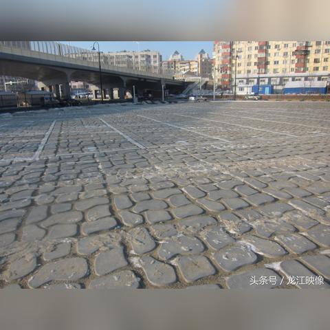 哈尔滨车主被打事件相关长尾关键词有哪些