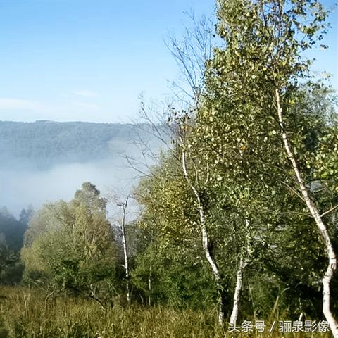 关山牧场出西安市了吗？