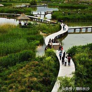 松雅湖和洋湖哪个好玩？