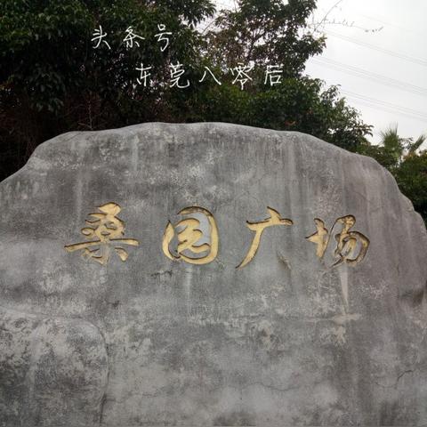 东莞市最大广场在哪里