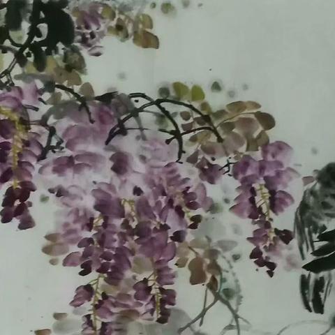 河南周口美术的相关长尾关键词有哪些