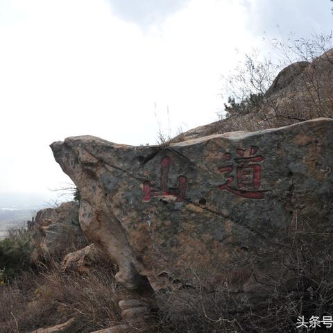 长春市云山街道多少人