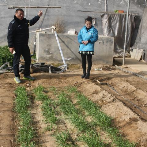 合肥市北城生态园门票多少钱