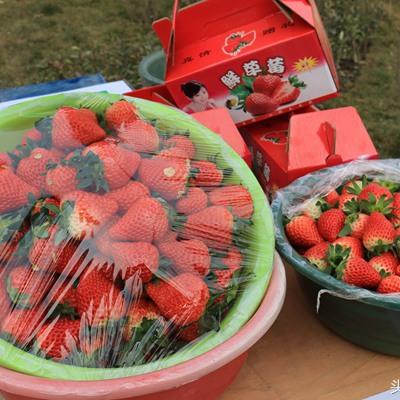 西安建大棚相关长尾关键词有哪些