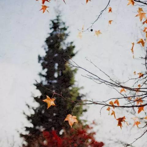 微商红酒晚安文案句子的长尾关键词有什么