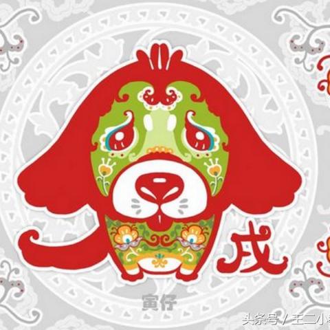 生肖狗鸡的婚姻运势(属鸡属狗的姻缘怎样算命)