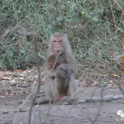 天气降温图片的长尾关键词有什么