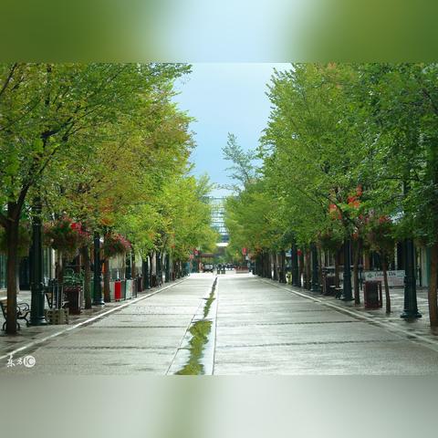 宜宾市与长沙市哪个发达