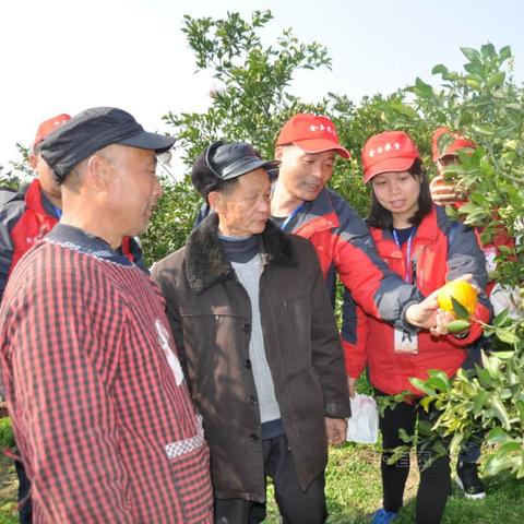 潍坊市金玉农资的长尾关键词有什么