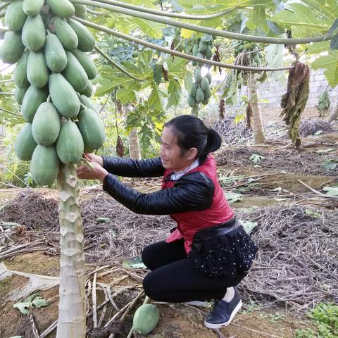 苏州常熟贷款哪里好