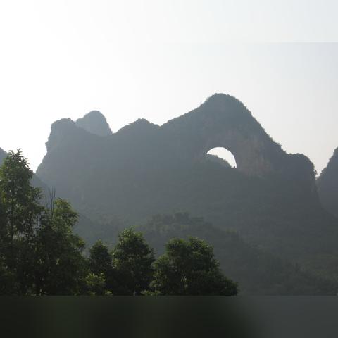 桂林哪里种榕树好活的相关长尾关键词有哪些