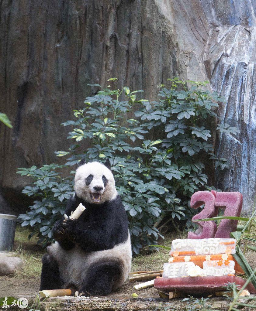 110元吃什么美食（你觉得用100元人民币能在俄罗斯能买到什么）
