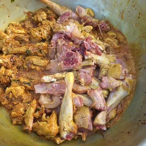 **炖鸡肉的完美指南：步骤、技巧与调味秘籍**-第1张图片-其人生活百科